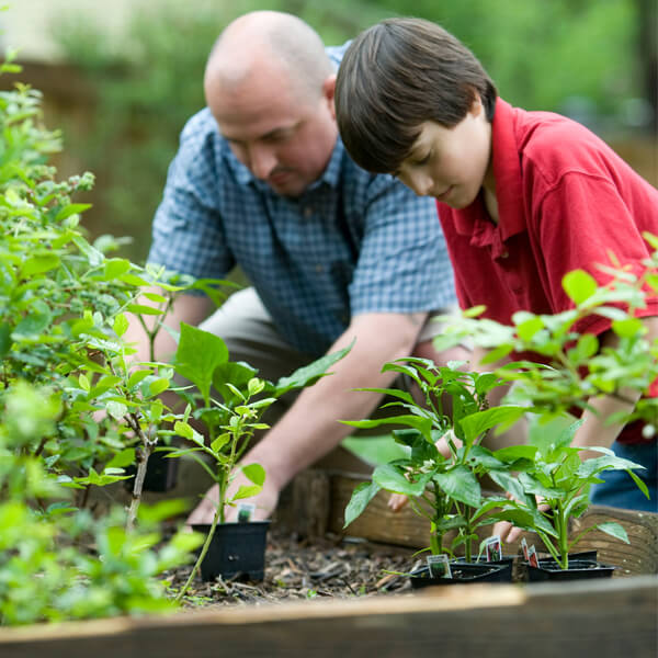 Gardening Therapy with Tenura Daily Living Aids