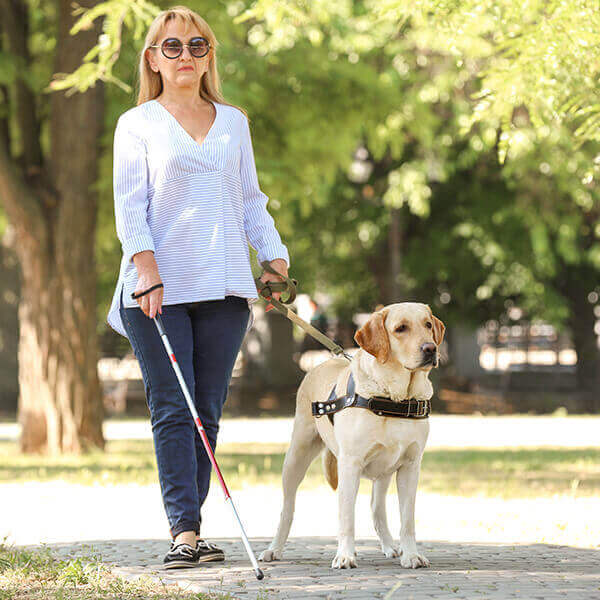 How Pets Benefit Disabled - Disabled blind lady walking with her pet dog in the park