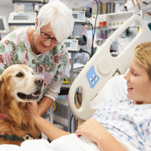 Dog Supporting Patient in Hospital