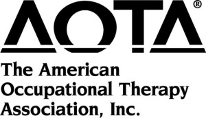 214109277_640-300×172 AOTA Logo