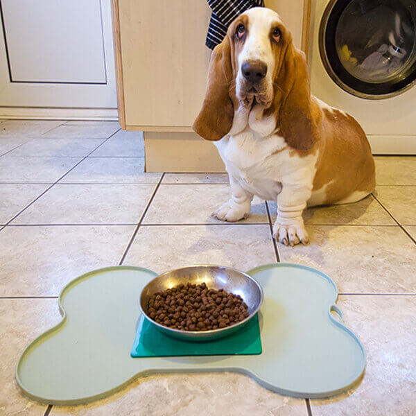 t-eg-2-green-extreme-mat-used-on-dog-food-tray-with-dog-1 Dog with Tenura Mat