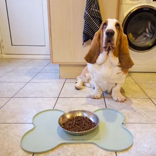 T-EG-1 Clear Extreme Mat Used on Dog Food Tray with Dog-1