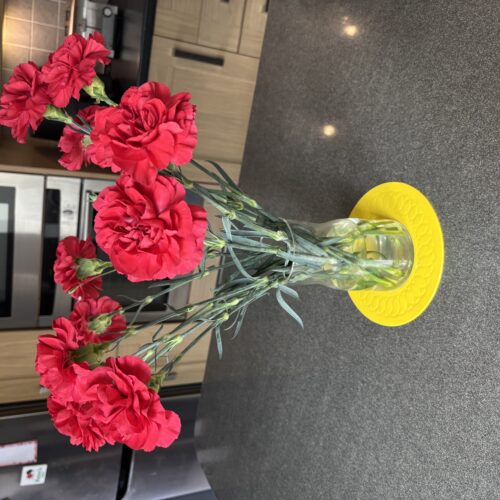TC-19-3-Yellow-Coaster-Flowers.jpeg