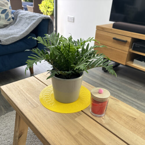 TC-19-3-Yellow-Circular-Coaster-Plant-2.jpg